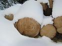 Winter im Schwarzwald